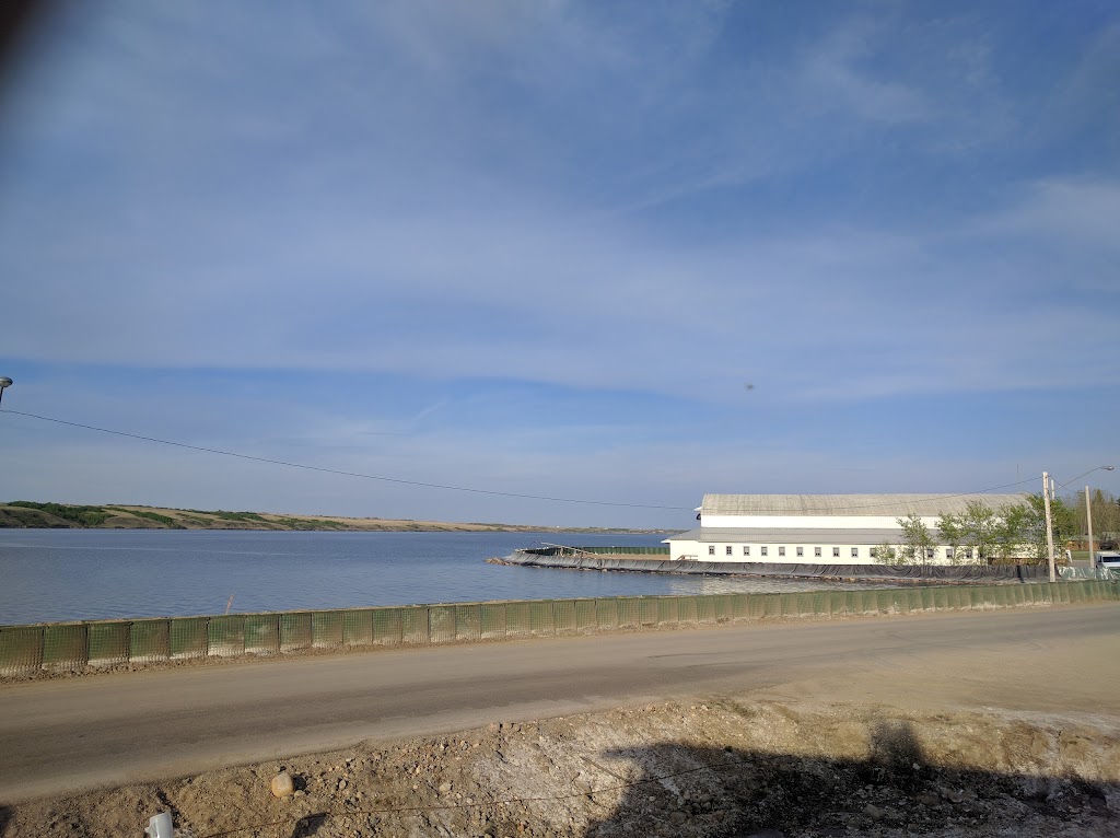 Salty Surf Inn | 414 Lake Ave, Watrous, SK S0K 4T0, Canada | Phone: (306) 946-2110