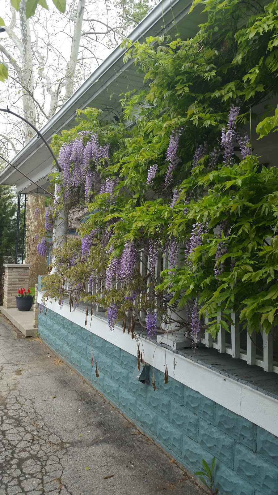 Seasons House | 1040 Bay St, Port Rowan, ON N0E 1M0, Canada | Phone: (519) 586-7096