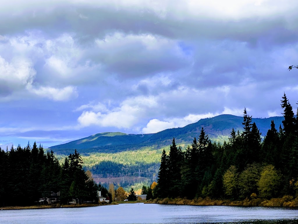 Lake Louise Bird Sanctuary | 9 Lake Louise Cir E, Bellingham, WA 98229, USA