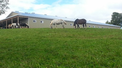 Windsong Carriage & Ranch | 597520 Grey Rd 29, Bognor, ON N0H 1E0, Canada | Phone: (519) 376-1518