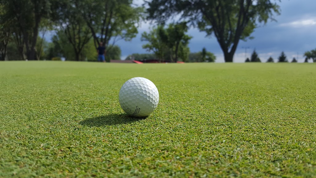 Rochester Place Golf Club | 981 County Rd 2, Belle River, ON N0R 1A0, Canada | Phone: (519) 728-2361