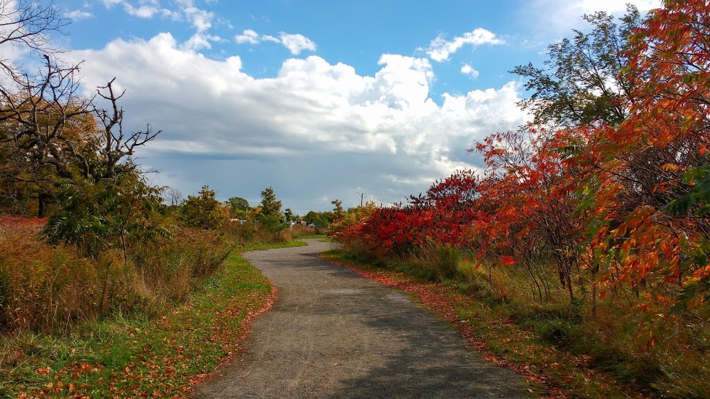 Devils Punchbowl Parking Lot | 204 Ridge Rd, Stoney Creek, ON L8J 2W1, Canada