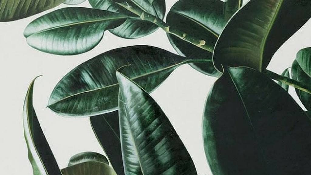 Art Knapp Surrey | 4391 King George Blvd, Surrey, BC V3S 0L2, Canada | Phone: (604) 596-9201