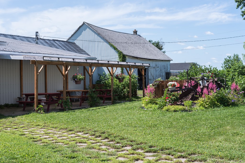 Vin Artisanal Le Ricaneux Enr | 5540 Rang Sud-Est, Saint-Charles-de-Bellechasse, QC G0R 2T0, Canada | Phone: (418) 887-3789