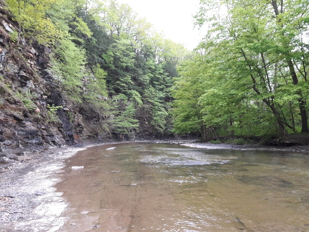 18 Mile Creek Park | 2600-2772 S Creek Rd, Hamburg, NY 14075, USA