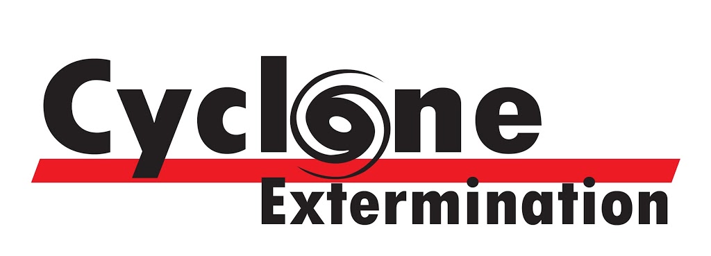 Cyclone Extermination Souris Longueuil Exterminateur Fourmis-Guê | 1025 Rue Sainte-Hélène, Longueuil, QC J4K 3S1, Canada | Phone: (450) 463-1816