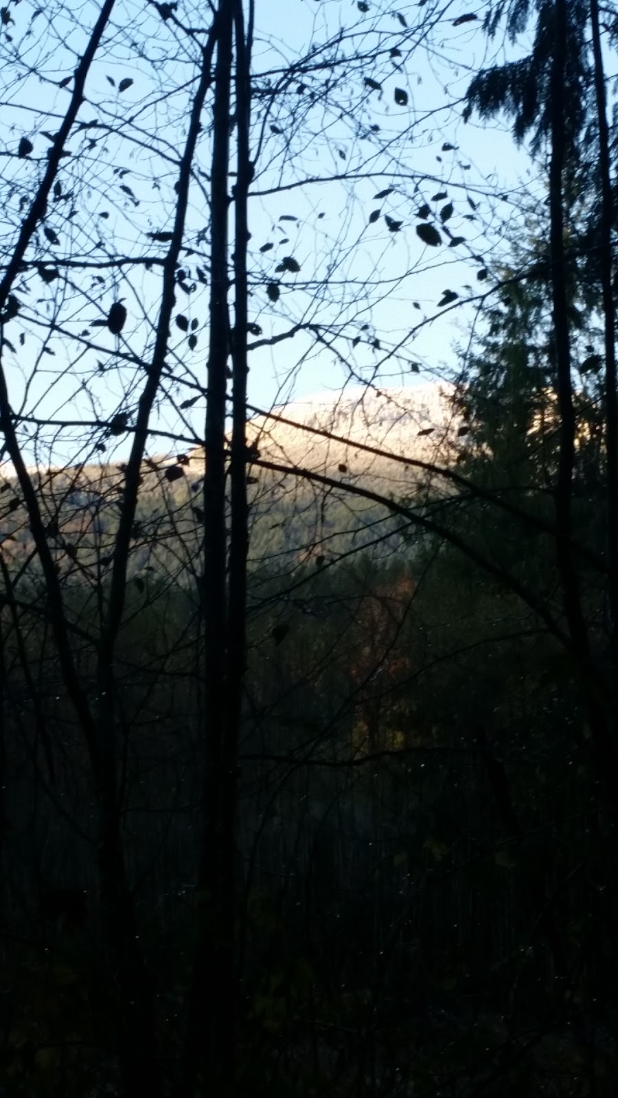 Wulaam (Echo) Park | 3217 Channel Blvd, Chemainus, BC V0R 1K2, Canada
