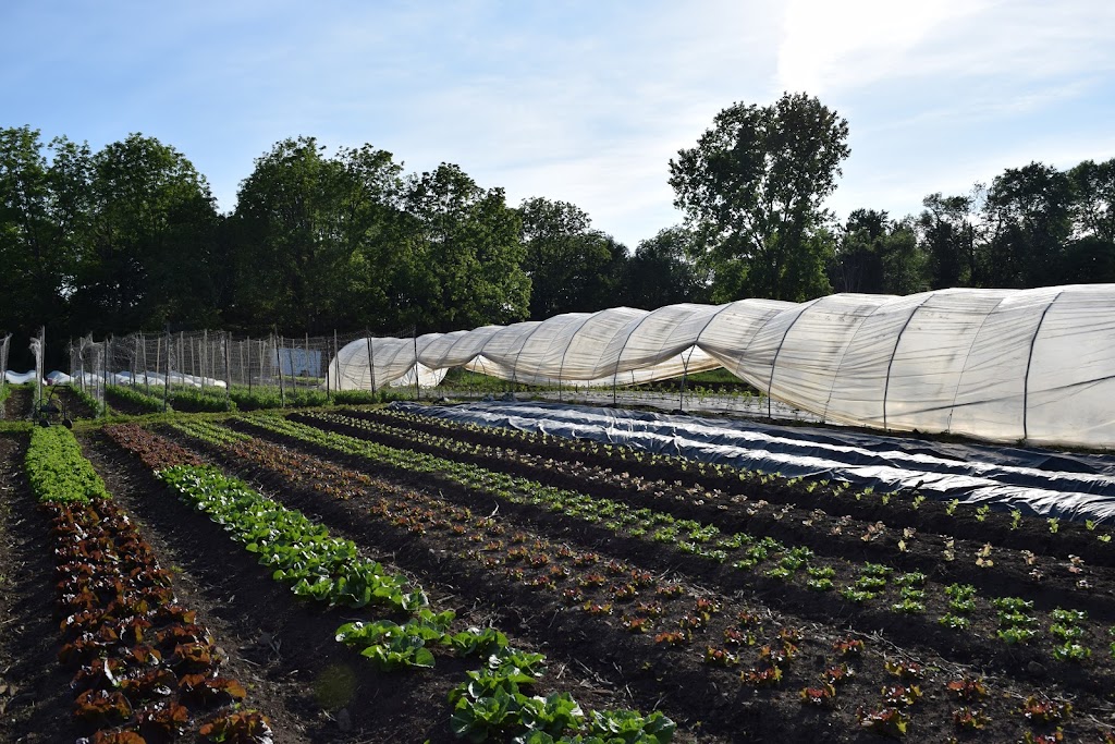 Ferme de Santropol Roulant | 269 Ch Senneville, Senneville, QC H9X 3X8, Canada | Phone: (514) 284-9335