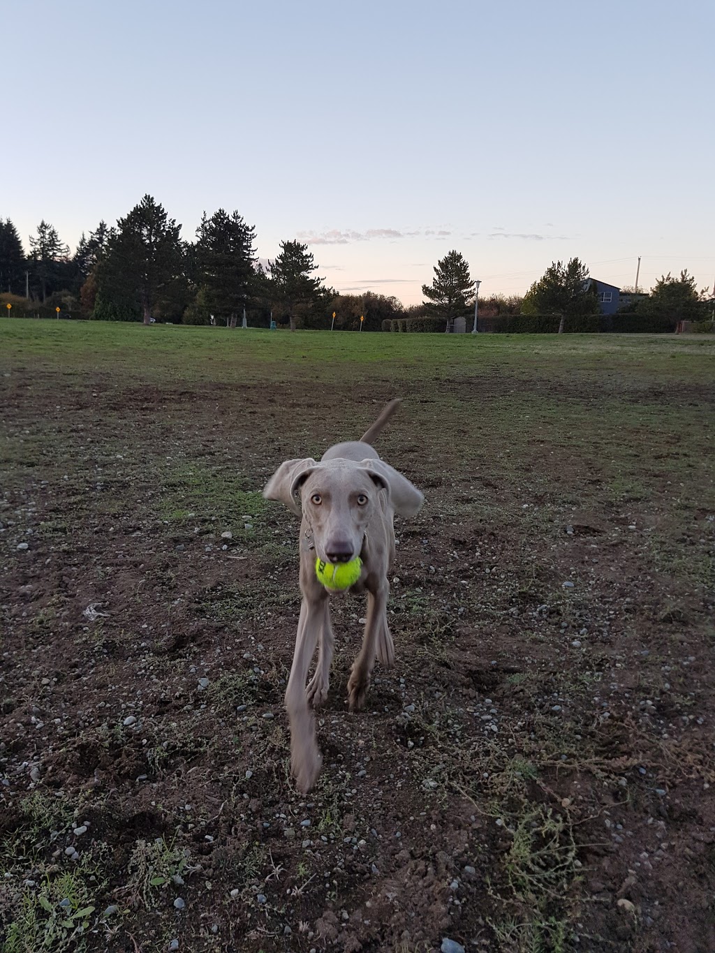 Colwood Creek Park | Brittany Dr, Colwood, BC V9B 5P8, Canada | Phone: (250) 478-5999