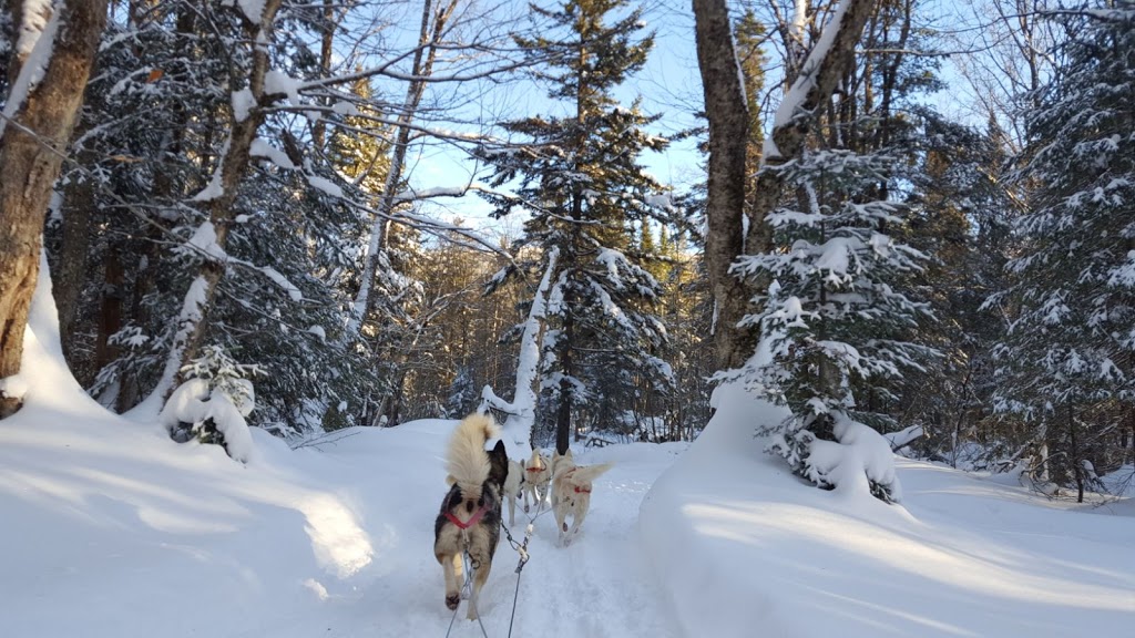 Outfitting Du Lac Beauport | 33 Chemin de la Coulée, Lac-Beauport, QC G3B 1G6, Canada | Phone: (418) 849-4252