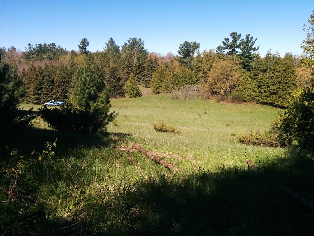 Cedar Grove Organic Farm | 625 Shamrock Rd, Omemee, ON K0L 2W0, Canada | Phone: (705) 799-1728