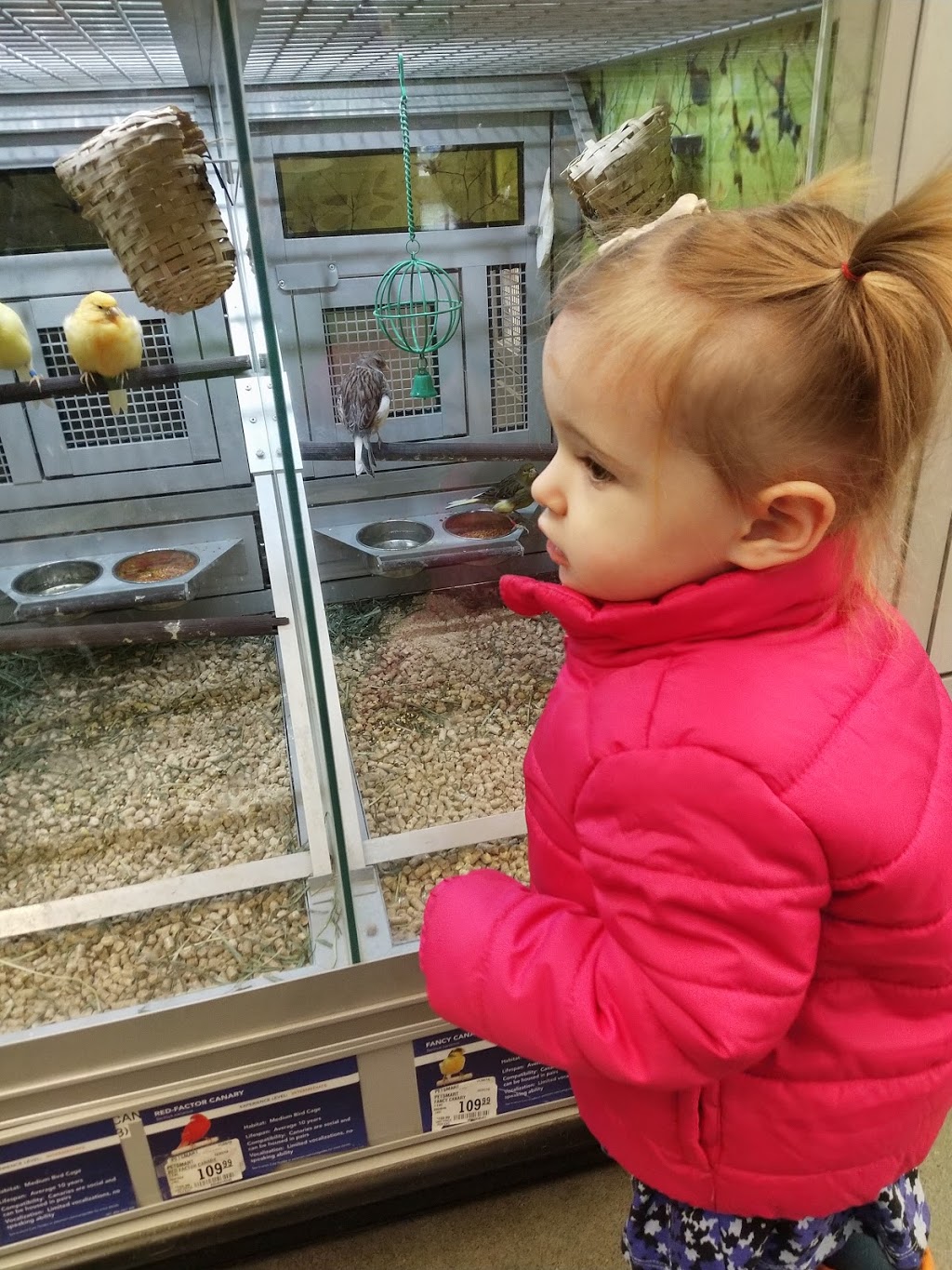 PetSmart | 915 St Albert Trail Unit 115, St. Albert, AB T8N 4K6, Canada | Phone: (780) 470-3045