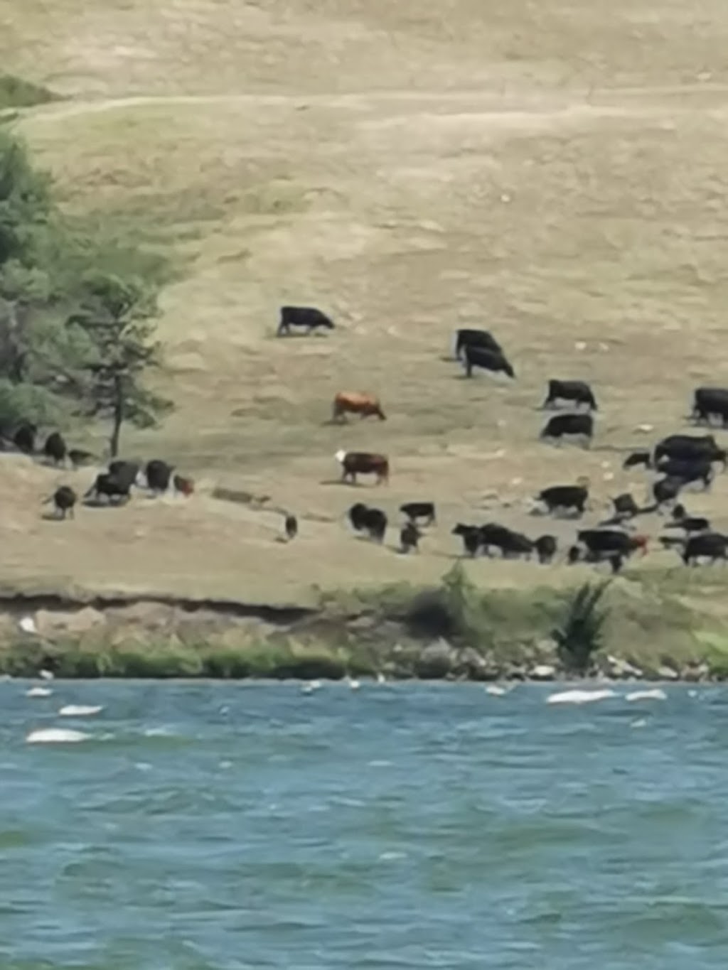 Buffalo View Campground | Unnamed Road, 1P0, Findlater, SK S0H 4C0, Canada | Phone: (306) 693-7453