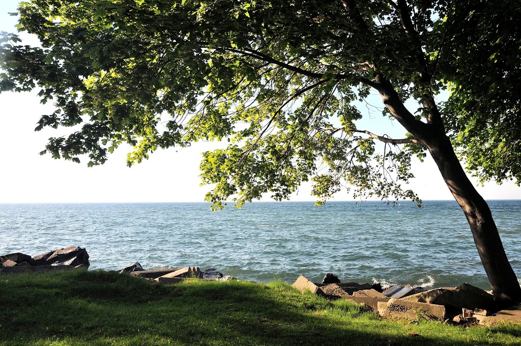 B Machree Park | Mississauga, ON L5H 2R7, Canada