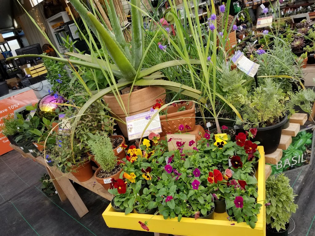 Sage Gardens Greenhouses | 3410 St Marys Rd, Winnipeg, MB R2N 4E2, Canada | Phone: (204) 257-2715
