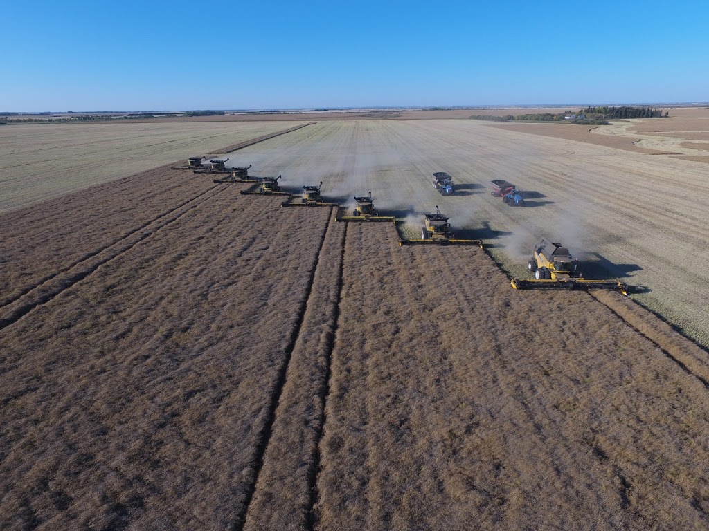 Delage Farms Ltd. | Indian Head, SK S0G 2K0, Canada | Phone: (306) 695-3959