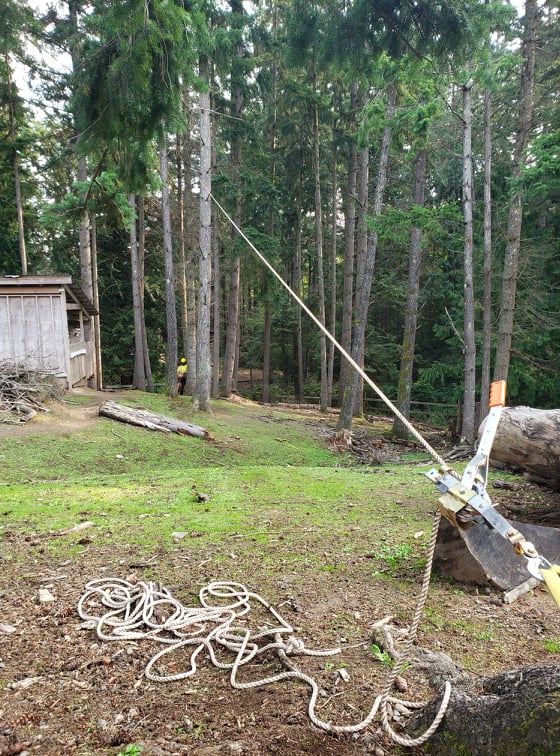 Clark Tree Care | 7032 Raven Bay Rd, Van Anda, BC V0N 3K0, Canada | Phone: (250) 650-2820