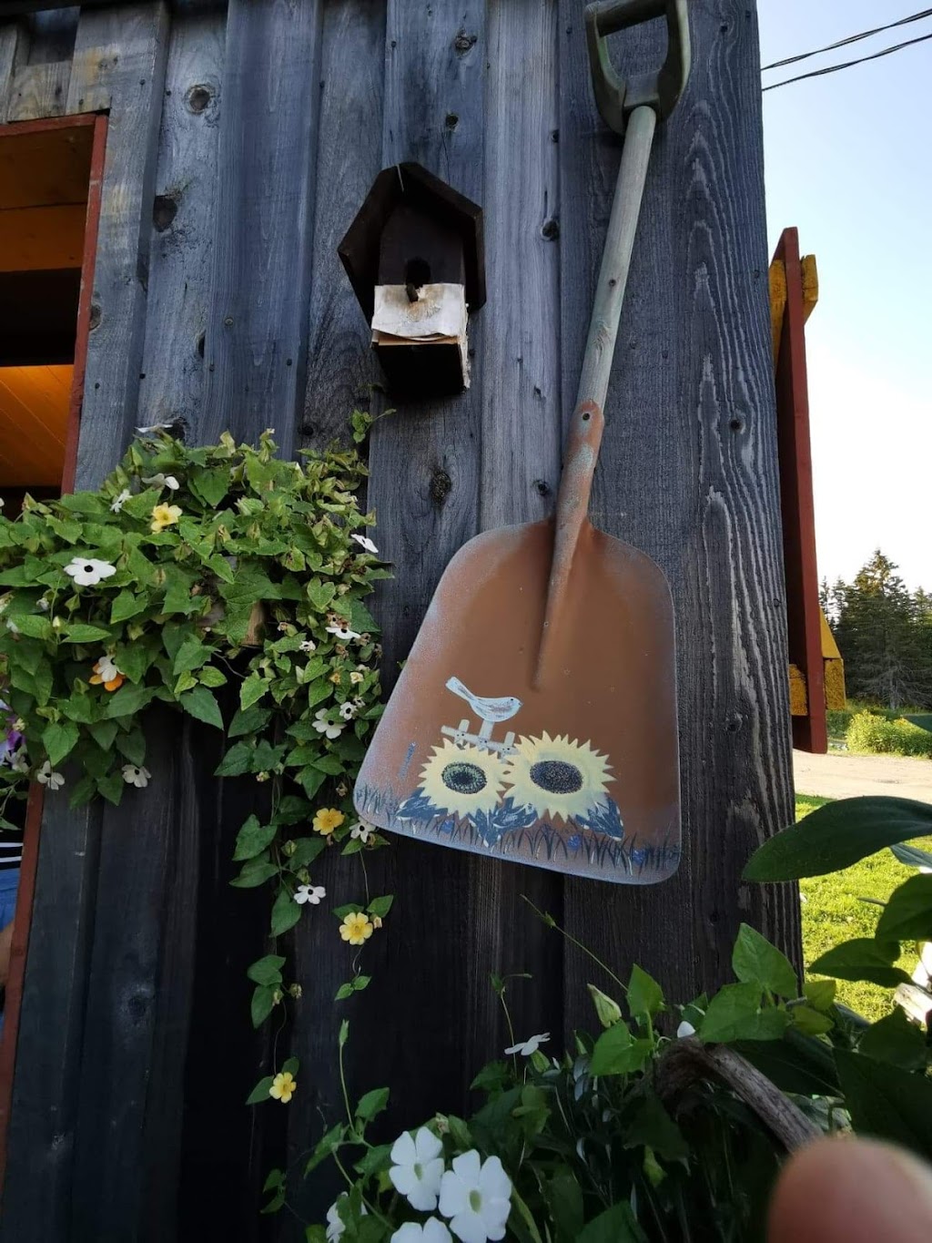 Ferme Tournesol | 5050 Rte des Bouleaux, Shipshaw, QC G7P 1E3, Canada | Phone: (418) 412-4858