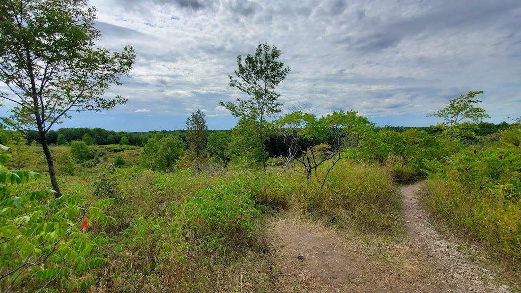 Balsam Lake Provincial Park | 2238 Kawartha Lakes County Rd 48, Kirkfield, ON K0M 2B0, Canada | Phone: (705) 454-3324