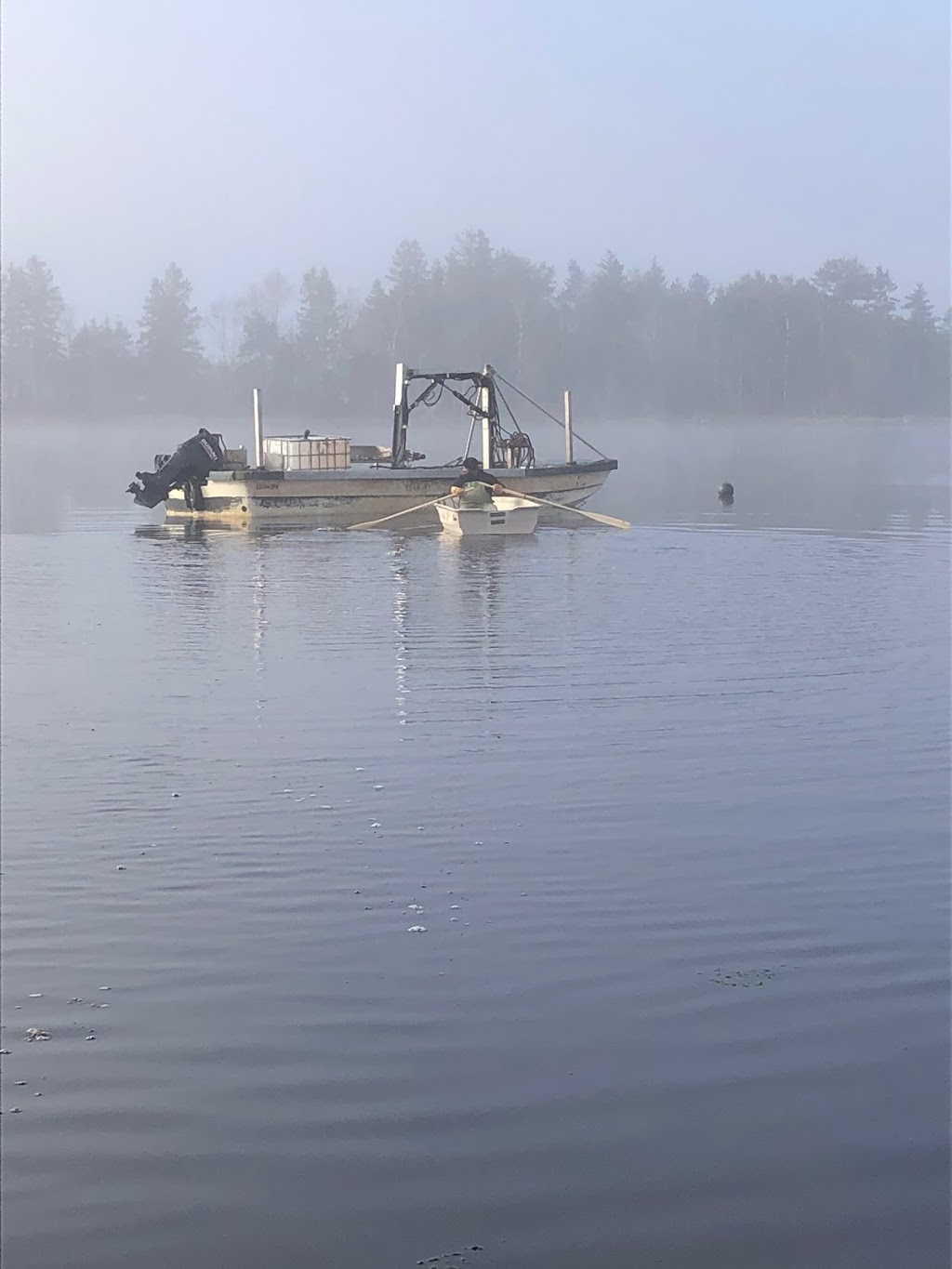 N 46° Oysters Inc. | 392 Trout River Rd, Coleman, PE C0B 1H0, Canada | Phone: (902) 859-1884