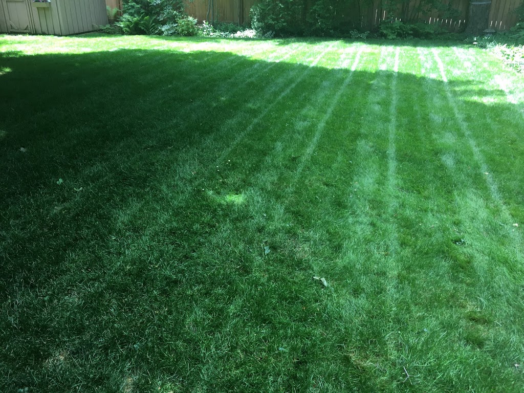 JMD Lawn Care | 16 Joanne Crescent, Elora, ON N0B 1S0, Canada | Phone: (437) 241-2127