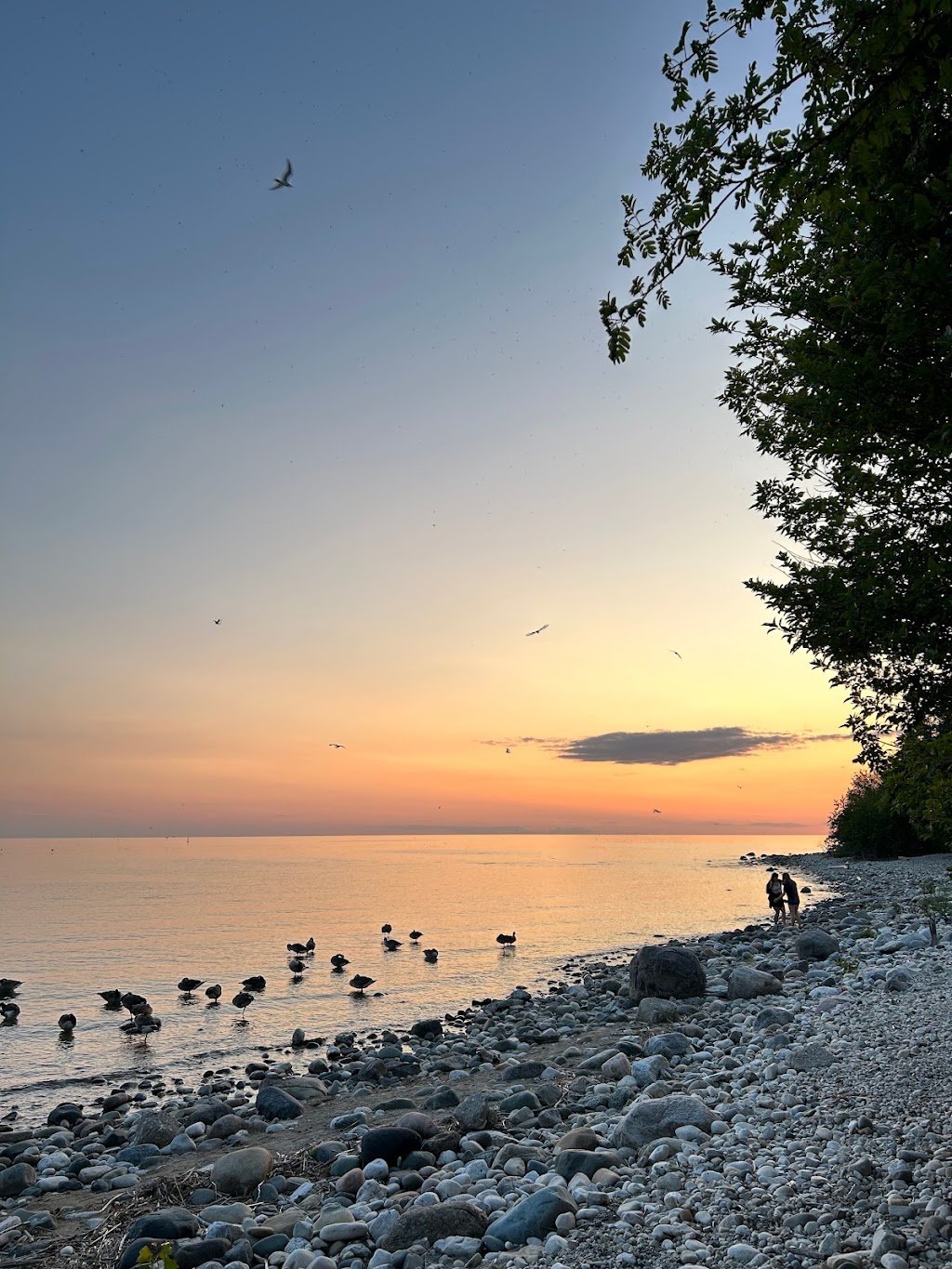 North Shore Park Beach | 780 Stevens St, Port Elgin, ON N0H 2C5, Canada | Phone: (800) 387-3456