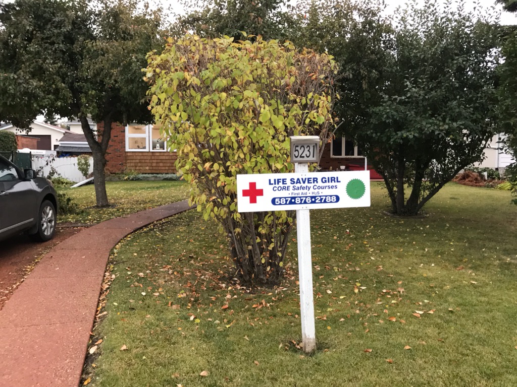 Life Saver Girl | 5231 48 Ave, Sylvan Lake, AB T4S 1G5, Canada | Phone: (587) 876-2788