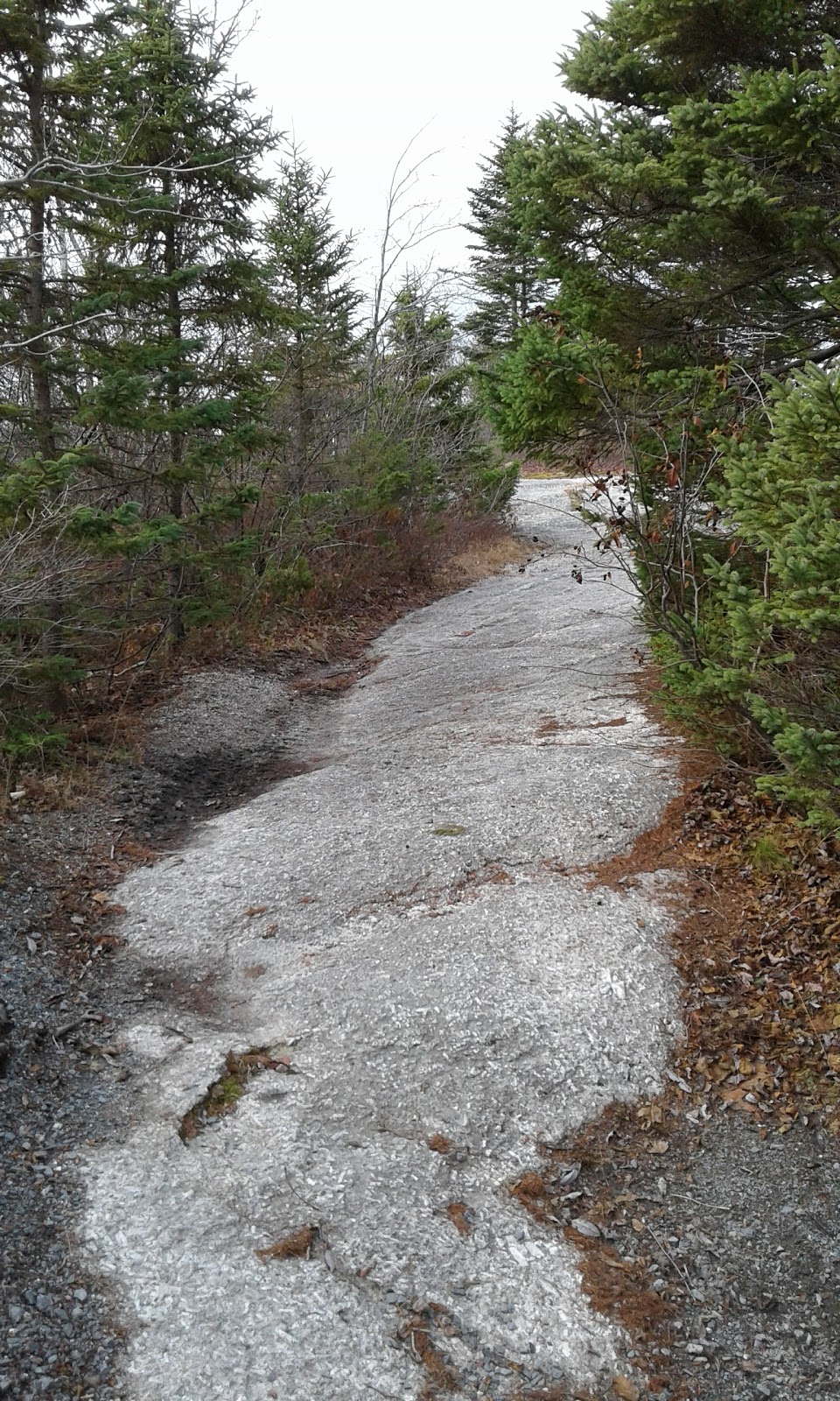 Breadloaf Point | Lavender Walk, Spryfield, NS B3R 2J1, Canada | Phone: (902) 453-2800