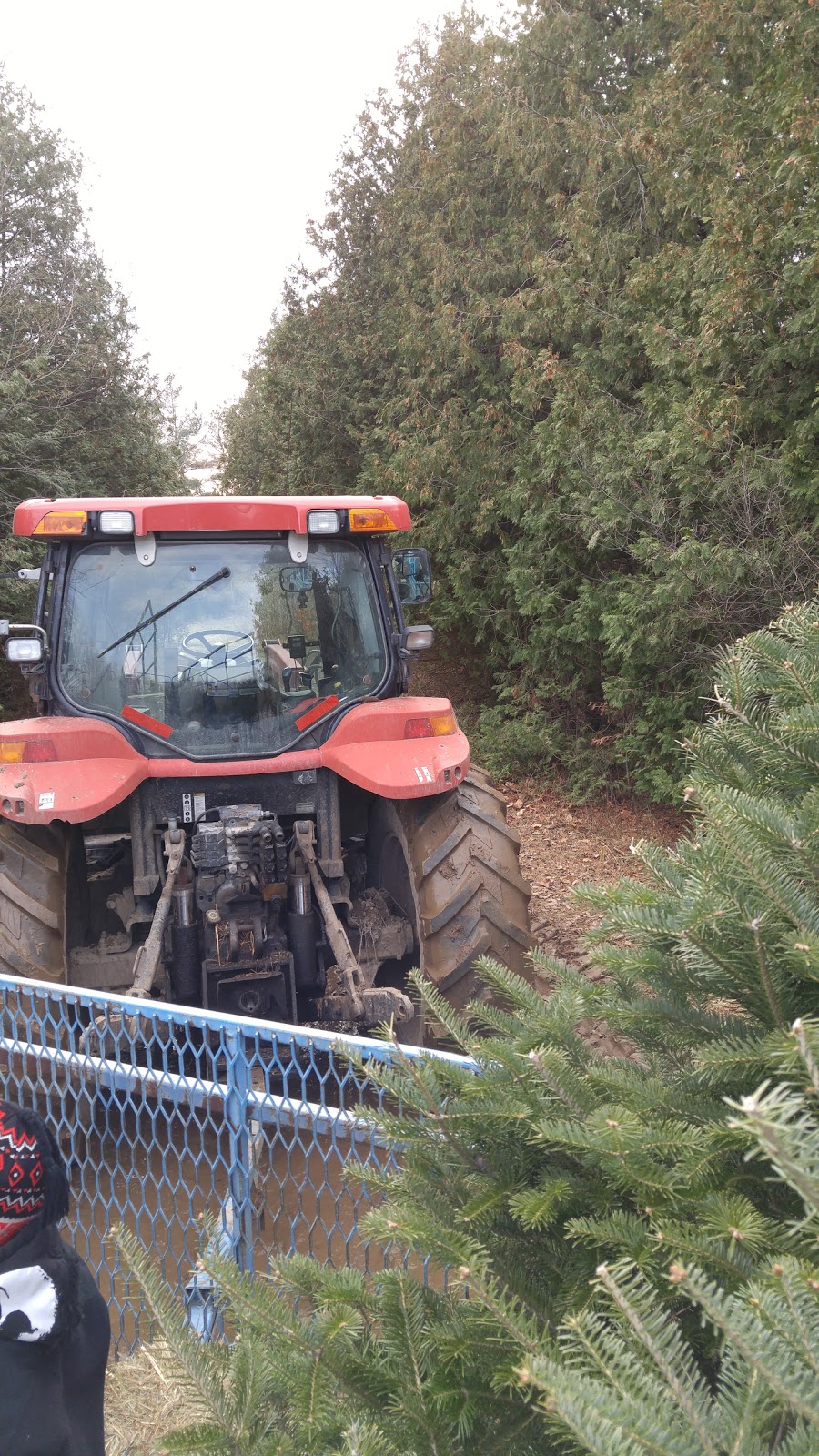 Ians Christmas Adventure Park | 804 Richmond Rd, Beckwith, ON K0A 1B0, Canada | Phone: (613) 253-0086