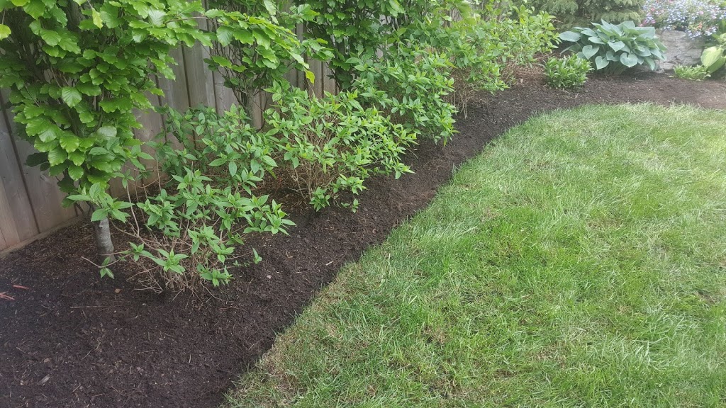 Vida Landscape Solutions | 4585 Palladium Way Unit 3049, Burlington, ON L7M 0W9, Canada | Phone: (905) 531-1945