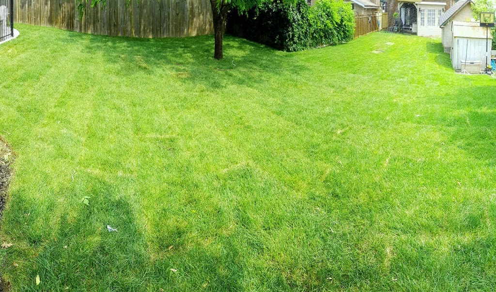TheLandscapr - Durham Landscaping Company | 94 Richard Davies Cres, Bowmanville, ON L1C 0N8, Canada | Phone: (289) 314-3446
