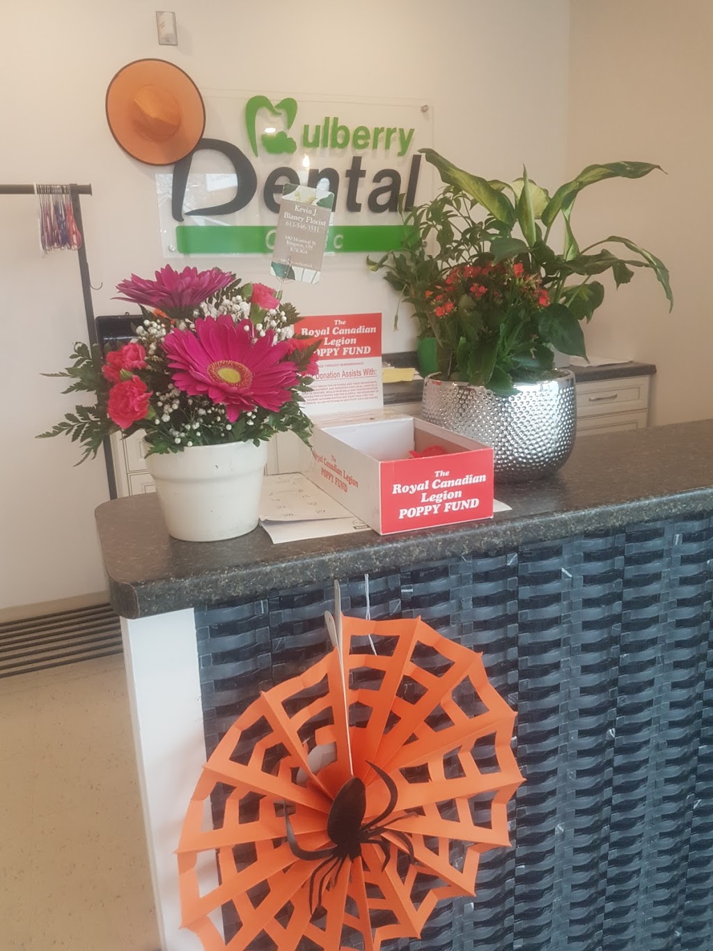 Mulberry Dental Clinic | 351 Montreal St, Kingston, ON K7K 3H4, Canada | Phone: (613) 766-9977
