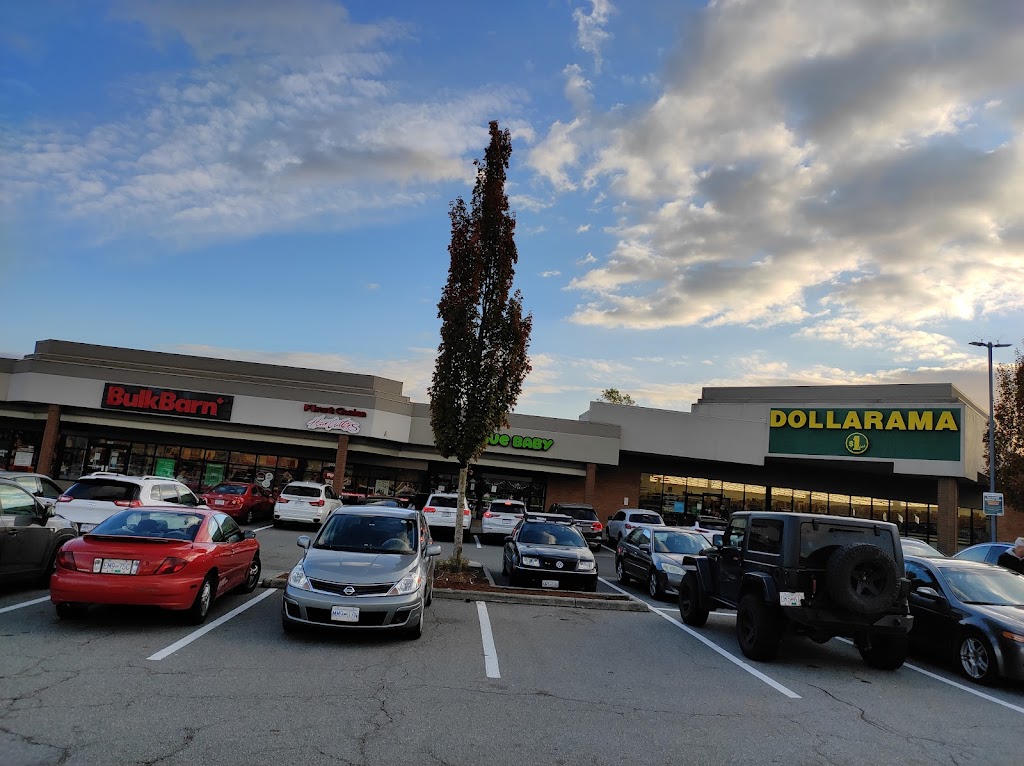Langley Crossing Shopping Centre | 6339 200 St, Langley, BC V2Y 1A2, Canada | Phone: (604) 533-2132