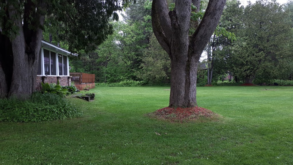 Noble Motel | 1164 Moore Lake Estates Rd, Norland, ON K0M 2L0, Canada | Phone: (705) 454-8298