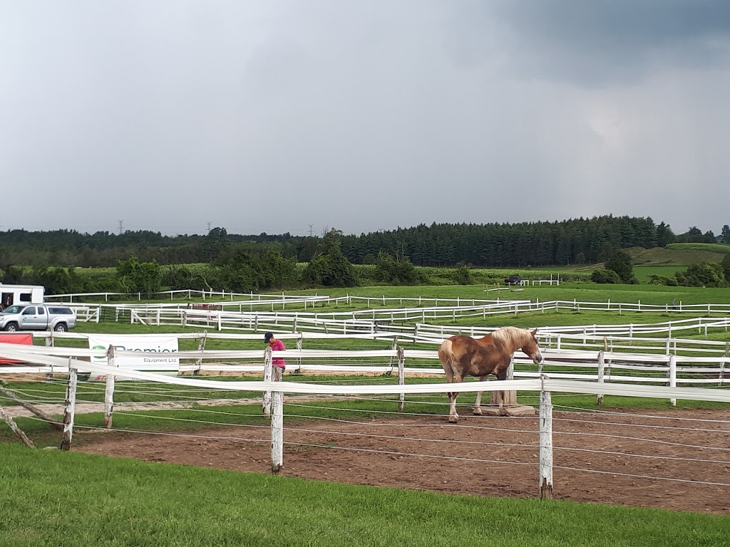 Cherrylane Equestrian Centre Inc | 4145 ON-6, Puslinch, ON N0B 2J0, Canada | Phone: (519) 767-6067