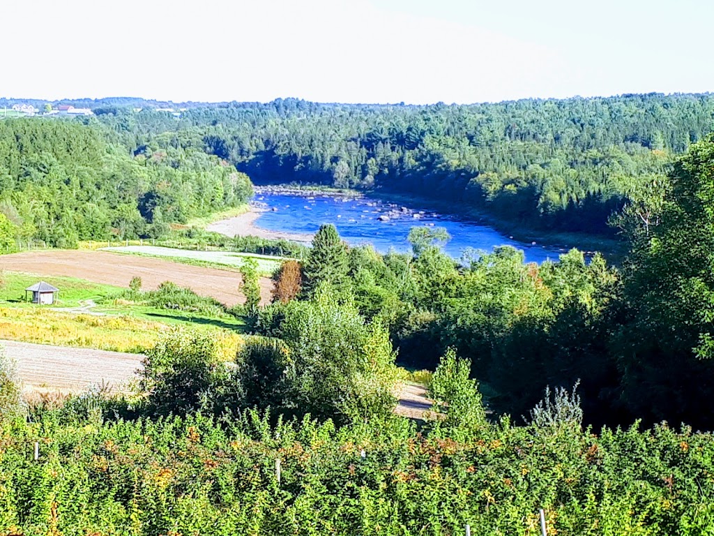 Ferme Le jardin des iles | 6505 Chemin de la Rivière, Ascot Corner, QC J0B 1A0, Canada | Phone: (819) 566-8371