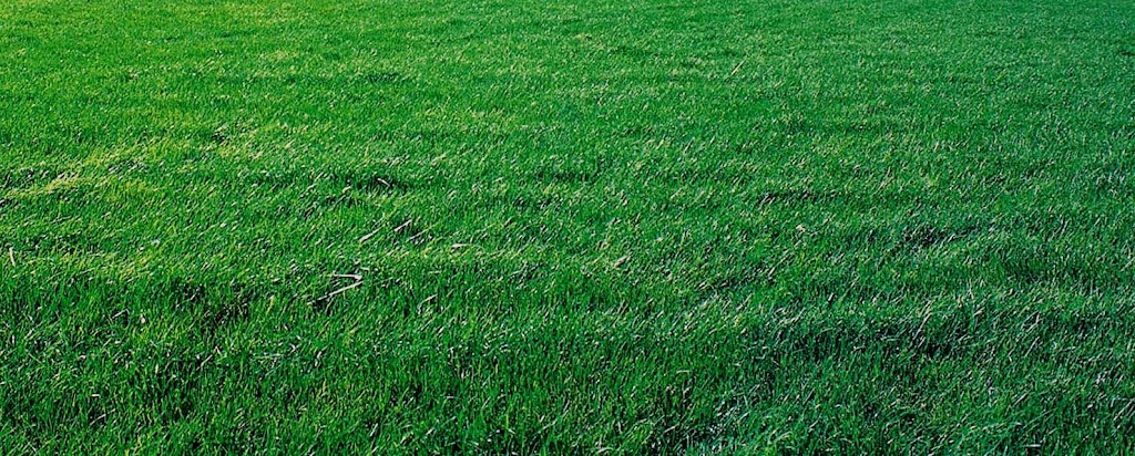 University Sprinklers | 1777 56 St #500, Delta, BC V4L 0A6, Canada | Phone: (604) 421-4555