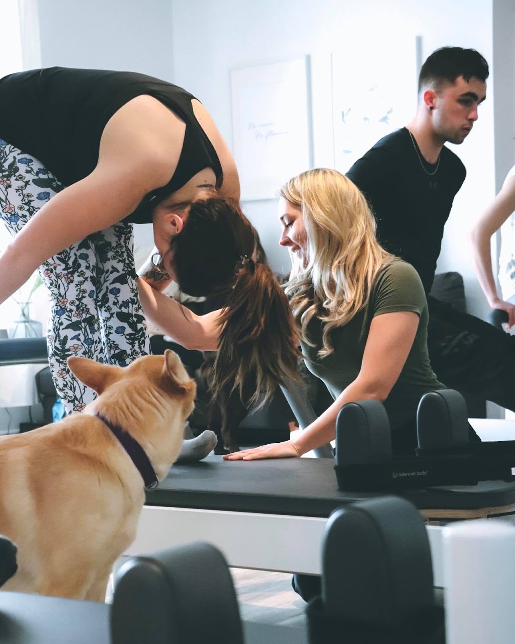 Kinésiologue Studio Of Pilates Sur Table | 240 Rue de Saint Jovite, Mont-Tremblant, QC J8E 2Z9, Canada | Phone: (819) 425-0079