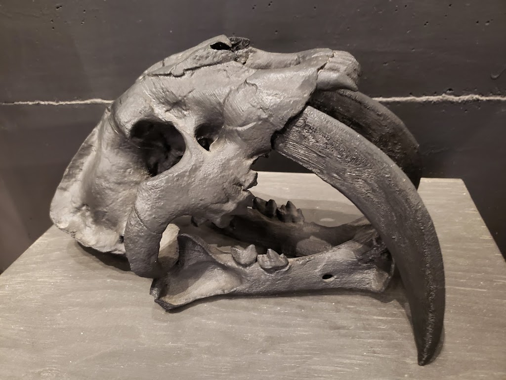 Dino Lab Inc. | 491 Dupplin Rd #2, Victoria, BC V8Z 1B8, Canada | Phone: (778) 966-3466