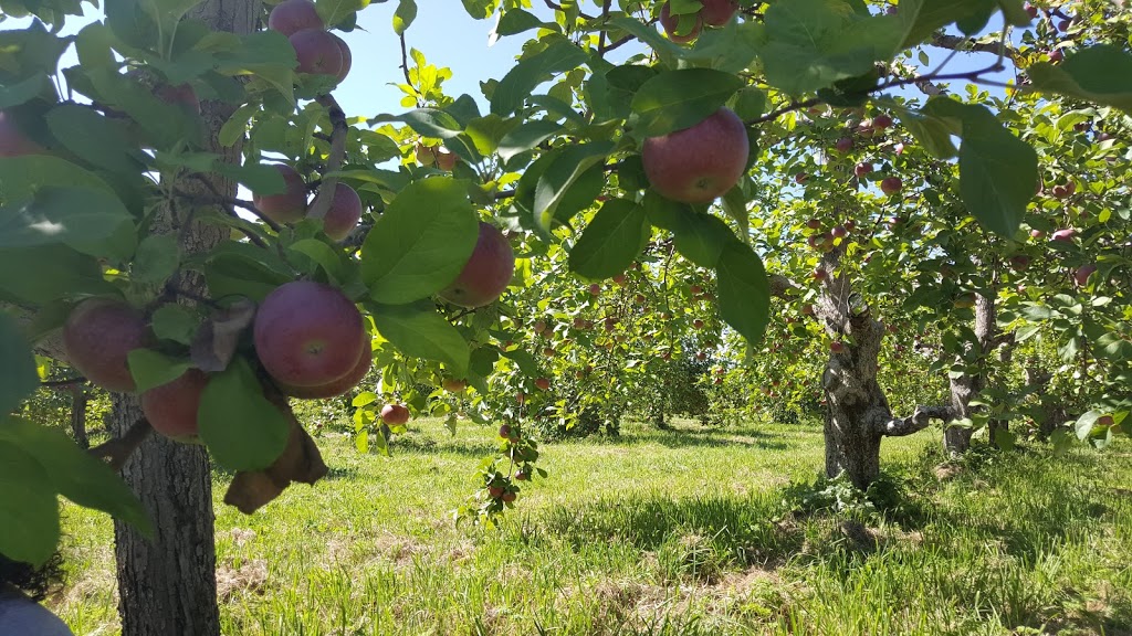 Domaine de Cavel | 1074 Chemin de la Montagne, Mont-Saint-Hilaire, QC J3G 4S6, Canada | Phone: (450) 464-3455