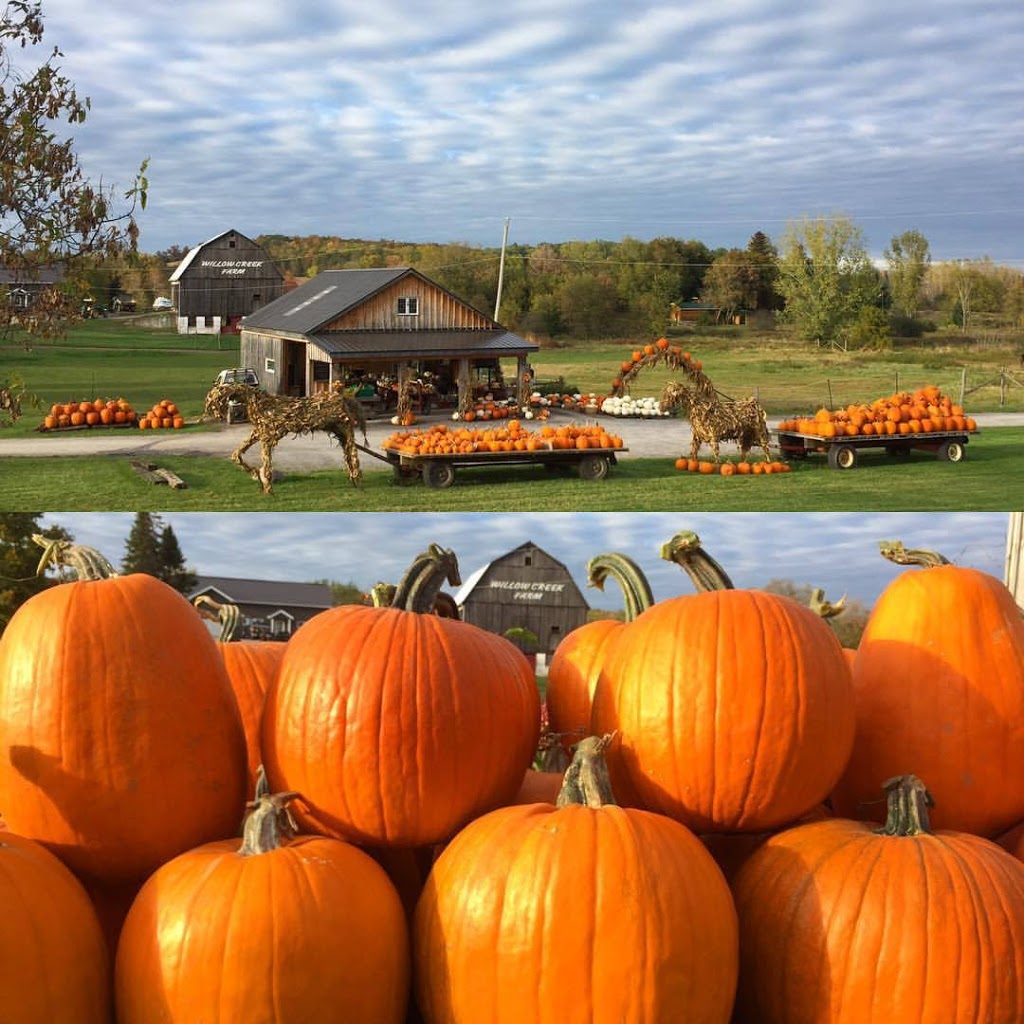 Willow Creek Farms | 1442 Frankford Rd, Frankford, ON K0K 2C0, Canada | Phone: (613) 967-0882