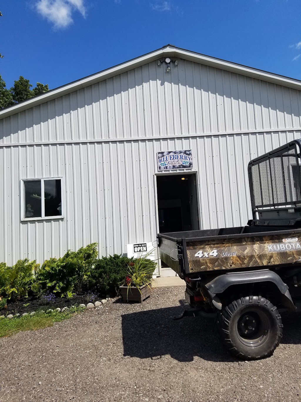 The Blueberry Patch | 289 Brant County Hwy 53, Burford, ON N0E 1A0, Canada | Phone: (519) 458-8066