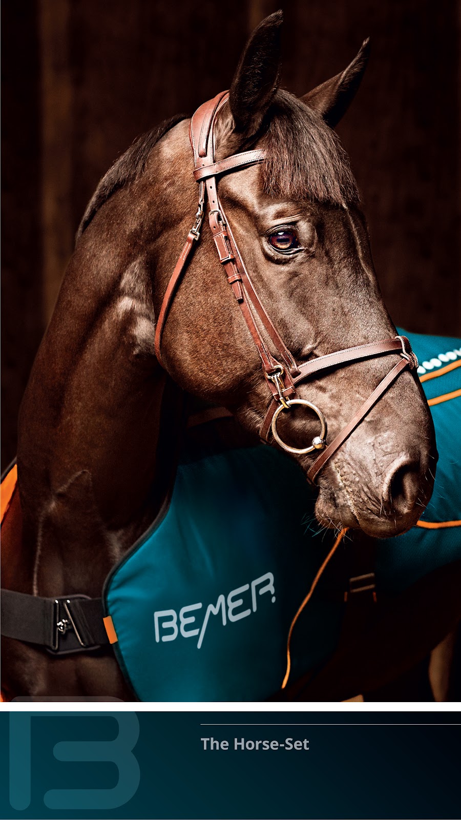 Cristina’s Equine Massage | 545 Cameron Harvey Dr, Ottawa, ON K2K 1X7, Canada | Phone: (613) 220-3239