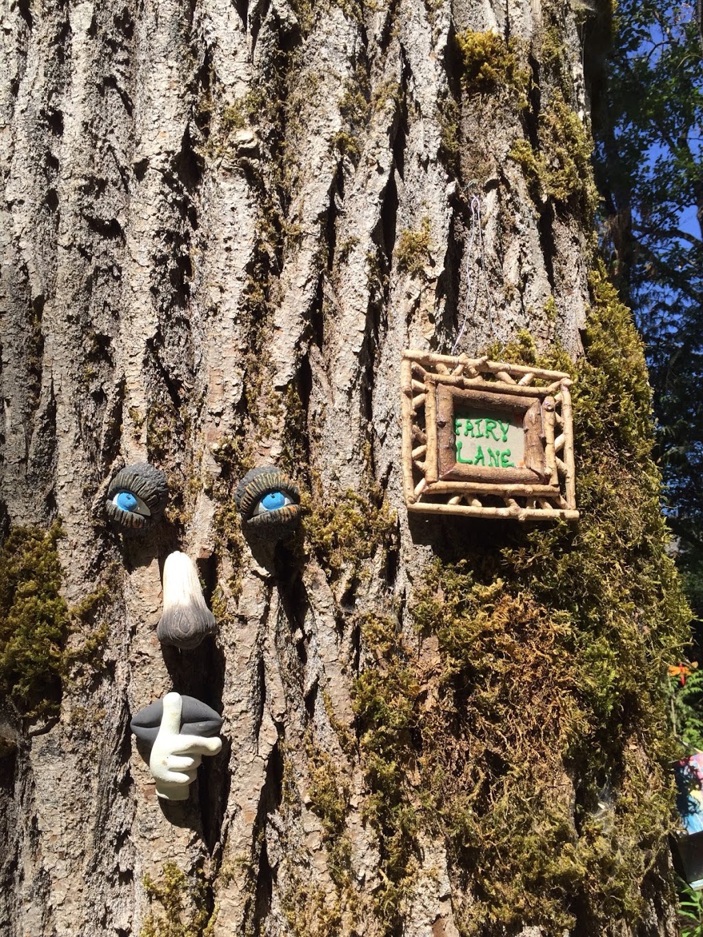 Fairy Lane | 6933 208B St Langley, BC ⚑ V2Y 0G3 208B St, Langley City, BC V2Y 2R7, Canada