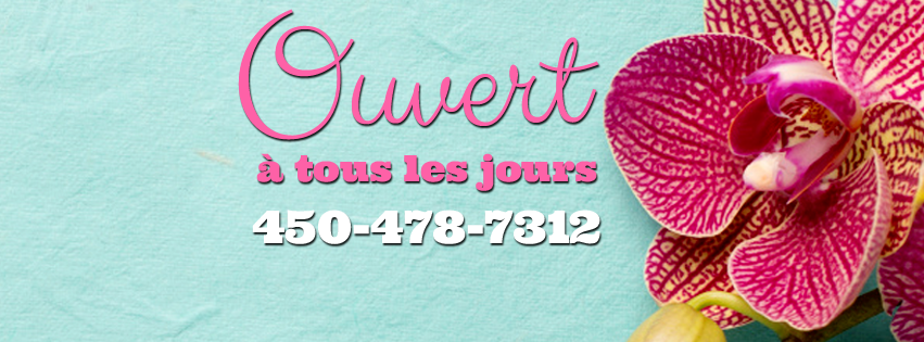 Fleuriste Et Boutique Cadeaux Cléome | 174 Boulevard Ste Anne, Sainte-Anne-des-Plaines, QC J0N 1H0, Canada | Phone: (450) 478-7312
