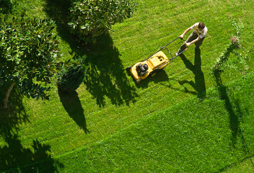 Somerset Lawn and Snow | 250 Somerside Park SW, Calgary, AB T2Y 3G5, Canada | Phone: (403) 333-3210