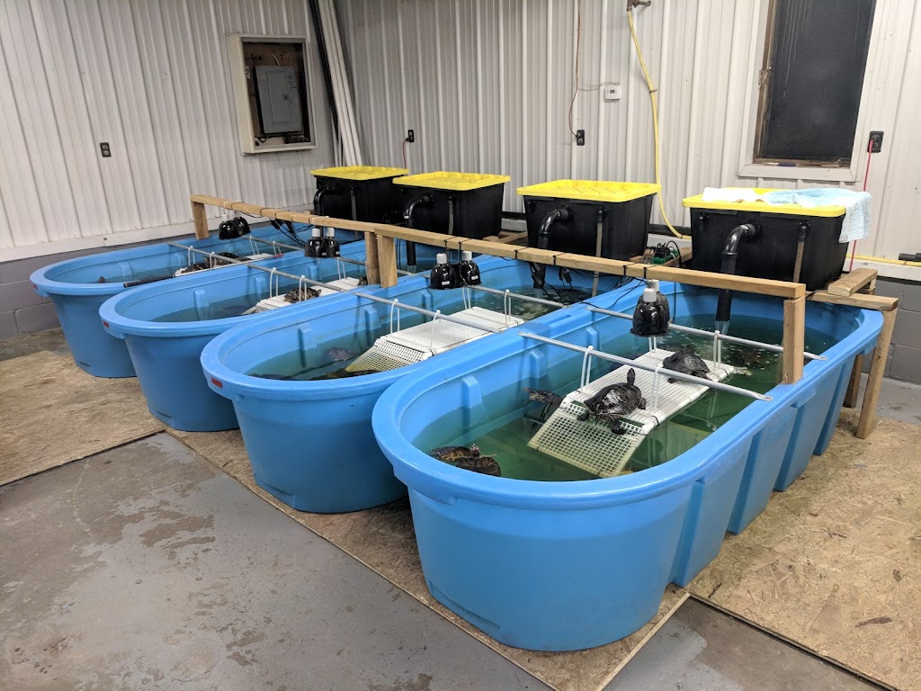 Little Res Q | 31021 ON-48, Pefferlaw, ON L0E 1N0, Canada | Phone: (416) 551-5863