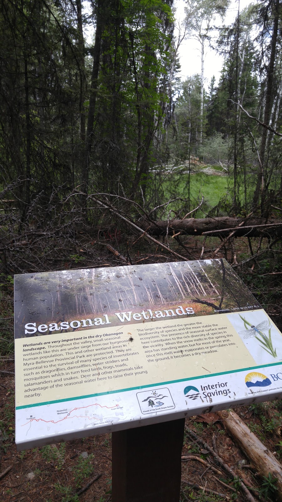 Angel Springs Trailhead | Kelowna, BC V0H 1N0, Canada