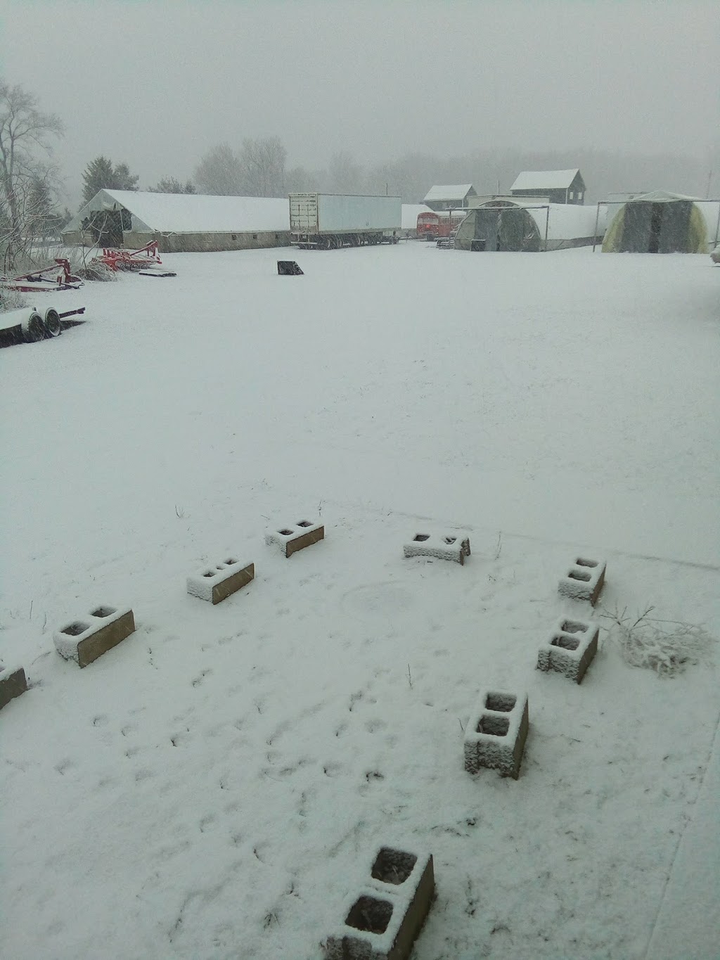E Z Grow Farms Ltd | 1771 Norfolk County Rd 23, Langton, ON N0E 1G0, Canada | Phone: (519) 875-4751