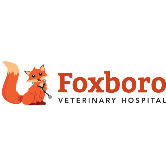 Foxboro Veterinary Hospital - 580 Ashley St, Foxboro, ON K0K 2B0, Canada